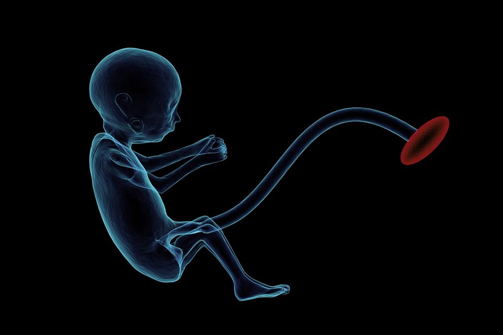 代生供卵孕妇总甲状腺素偏高的原因、影响及应对策略